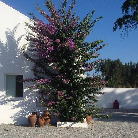 Monte Das Texugueiras - Adults Only Экстерьер фото