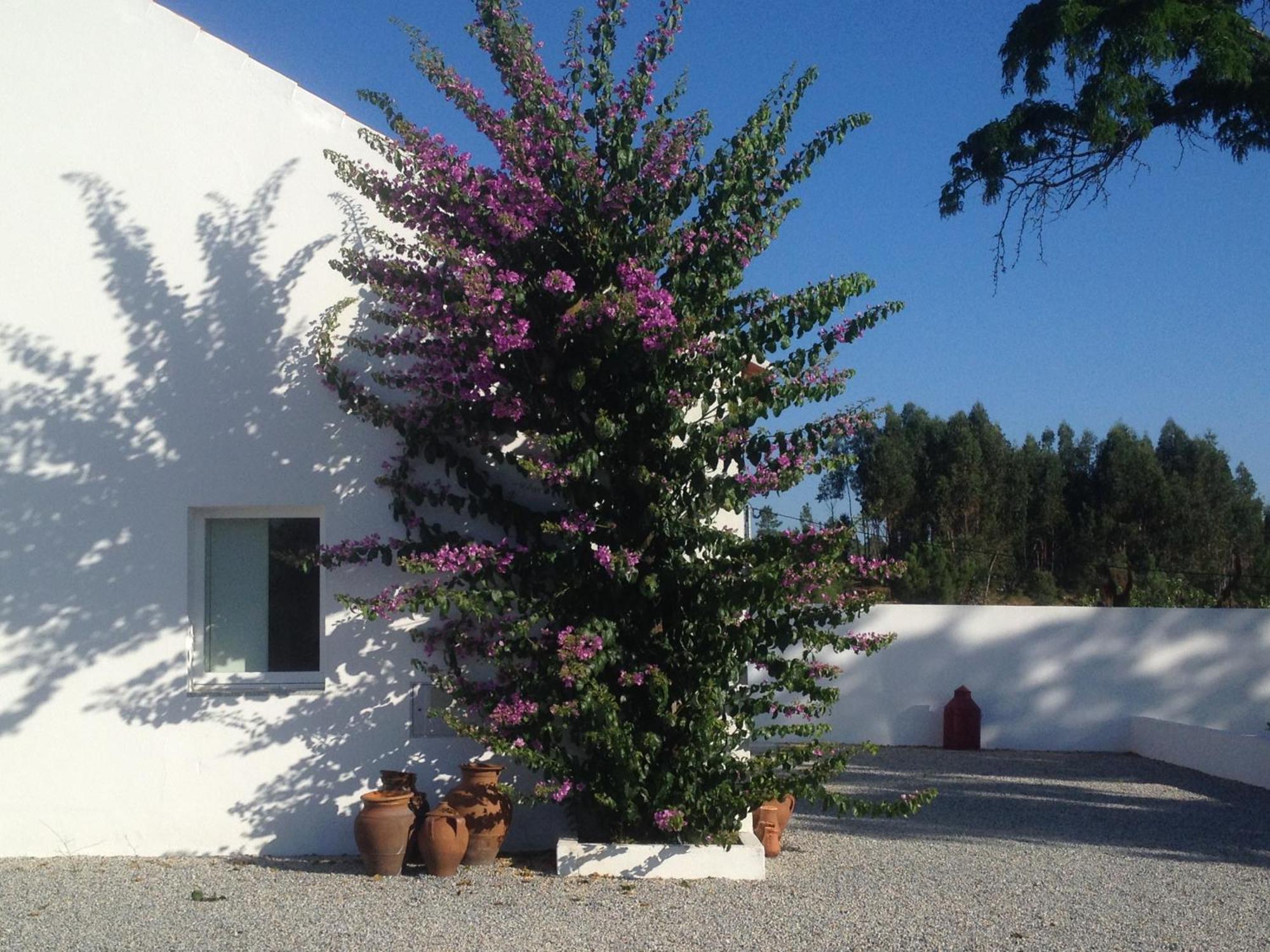Monte Das Texugueiras - Adults Only Экстерьер фото