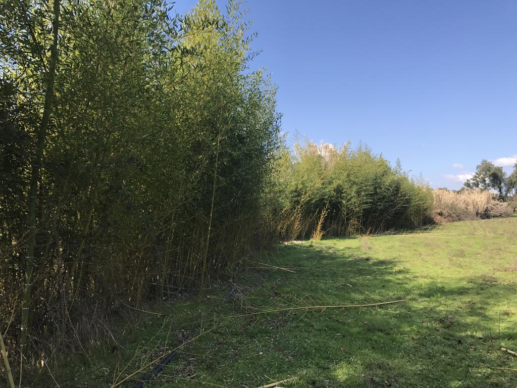 Monte Das Texugueiras - Adults Only Экстерьер фото