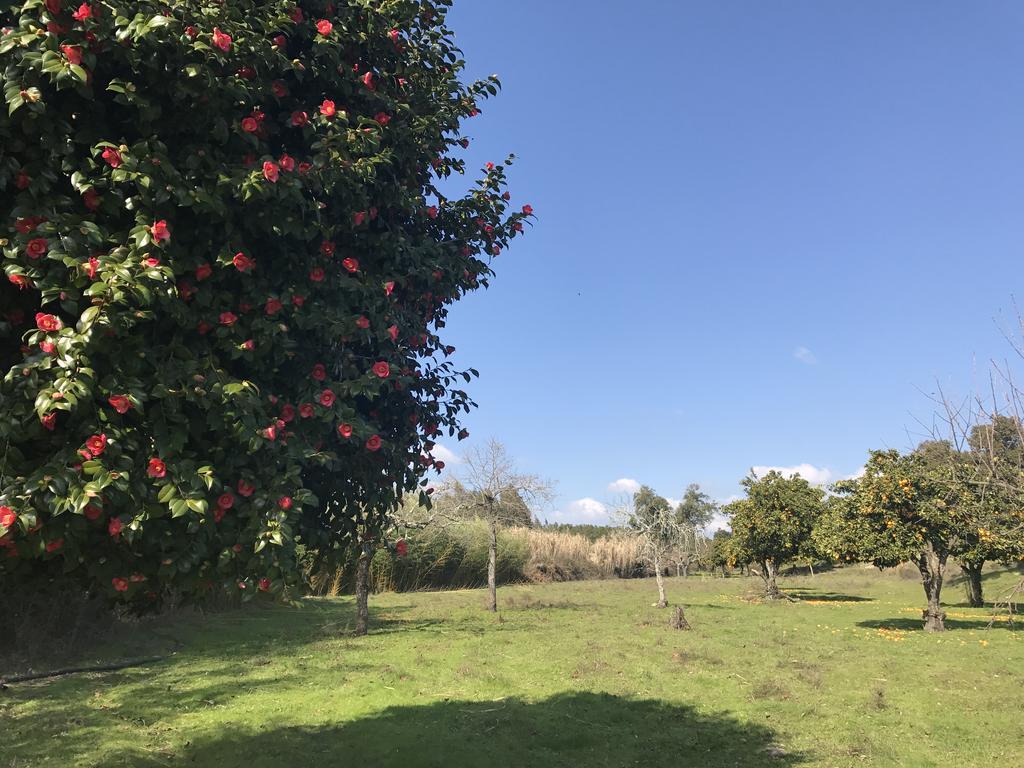 Monte Das Texugueiras - Adults Only Экстерьер фото